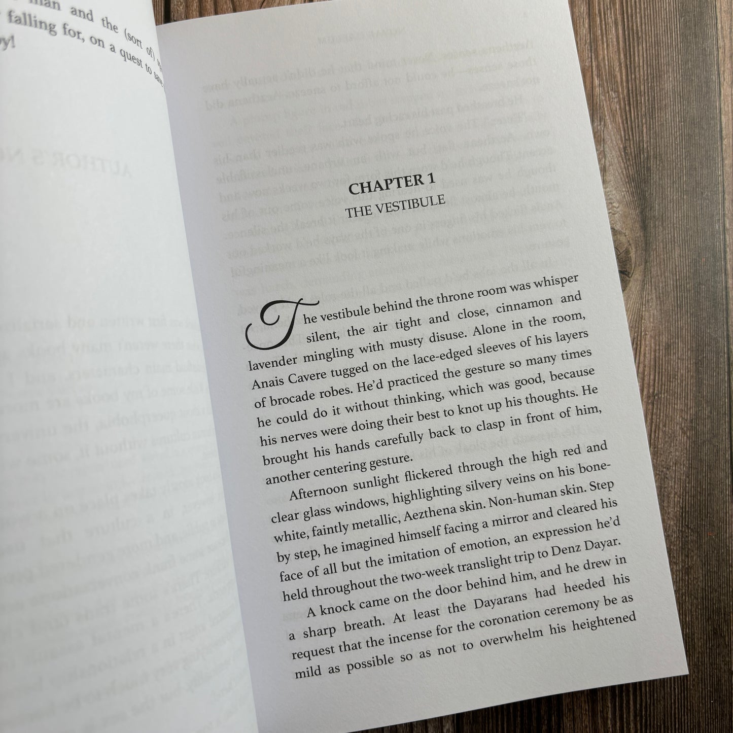 Interior image of "Good King Lyr" depicting Chapter One: The Vestibule.