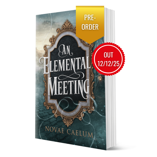 PRE-ORDER An Elemental Meeting: The King's Weaver Book 2.5 (Paperback)