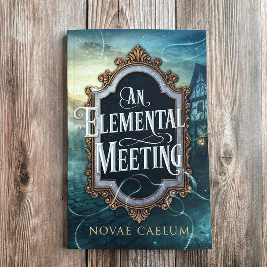 NEW RELEASE An Elemental Meeting: The King's Weaver Book 3 (Paperback)