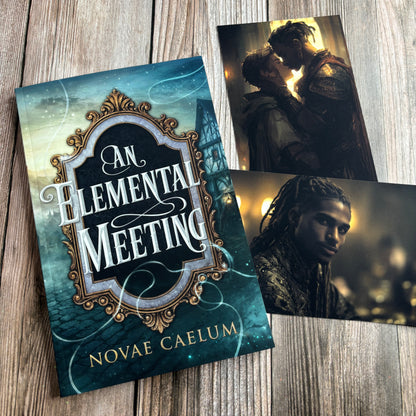 NEW RELEASE An Elemental Meeting: The King's Weaver Book 3 (Paperback)